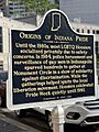 Origins of Indiana Pride Marker (Side 1)