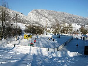 Patinoire de Court - Hiver 2012