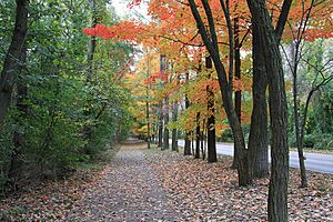 Presque Isle Lake Erie