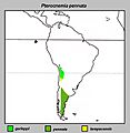 Pterocnemia pennata Distribution map