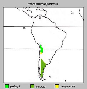 Pterocnemia pennata Distribution map.jpg