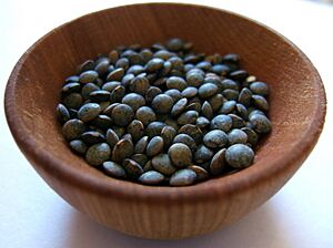 Puy lentils wooden bowl
