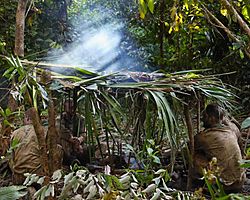 Royal Marines feel the heat in the jungle of Belize MOD 45162174.jpg
