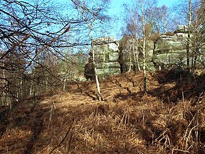 Sandstone Rocks at Eridge Green - geograph.org.uk - 1802751