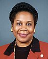Sheila Jackson Lee 113th Congress