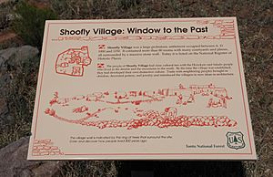 Shoofly Village Ruin, A Window to the Past