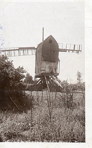 Shottenden Perry Wood 1914