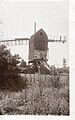 Shottenden Perry Wood 1914