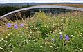 Sky Garden Kanes Foods Green Roof