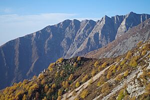 TaibaiShanNFP