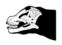 Tapuiasaurus skull reconstruction.png