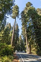 US 199 Redwood Highway