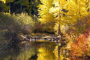 Upper Truckee River (4023120993)