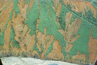 Vargas landslide scars 1999