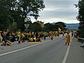 Via Catalana al Tram 686 (Pont de Molins) 3