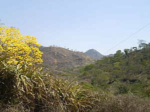 Virginia,Lempira 2