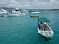 Water taxi in Puerto Ayora on the Island of Santa Cruz in the Galapagos photo by Alvaro Sevilla Design