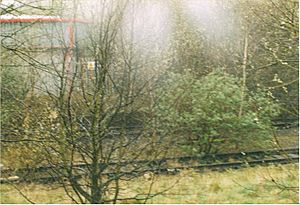 Wednesbury Town railway station 2003 (2)
