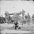 24-pound siege gun