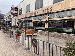 AC Petersen Farms at Christmastime - December 2023