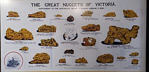 A chart showing the great nuggets of Victoria