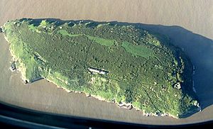 Aerial view of Steep Holm