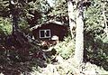 Alexander Lake Cabin