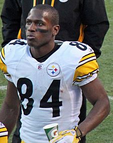 Antonio Brown (wide receiver, born 1988)