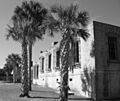Atalaya5