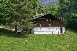 Ballenberg 1361 - Alpkäserei von Kandersteg BE - Südansicht