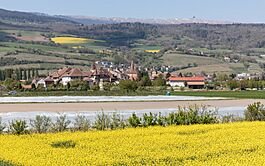 Blick auf Le Landeron mit dem Chasseral im Hintergrund.jpg
