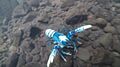 Blue Spiny Crayfish Underwater 00113