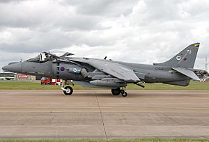 British Aerospace Harrier GR.9, United Kingdom - Royal Air Force JP6310093