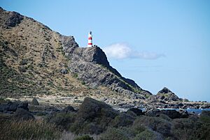 Cape Palliser