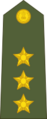 Captain of the Indian Army