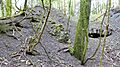 Carnell Lime kiln ruins, Fiveways, South Ayrshire