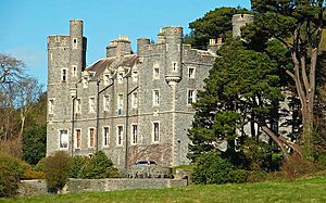 Castlewellan Castle (2) - geograph.org.uk - 1246274