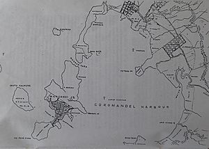 Coromandel Town Aotearoa Original Plan including Kapanga