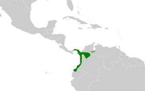 Cotinga nattererii map.svg