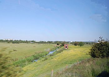 East Stour at South Willesborough - geograph.org.uk - 1328677.jpg