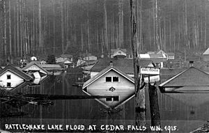 Flood at Cedar Falls, Washington, 1915 (WASTATE 251)