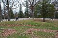 Forest Hill Cemetery effigy mound