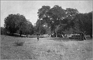 Fort Buchanan ruins 1914.jpg