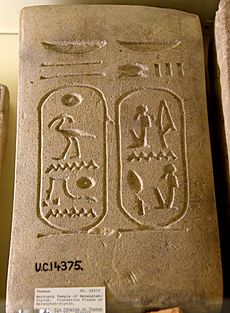 Foundation sandstone block showing 2 cartouches of king Siptah (Saptah, Merenptah-Siptah). 19th Dynasty. From the mortuary temple of Merenptah-Siptah at Thebes, Egypt. The Petrie Museum of Egyptian Archaeology, London