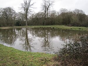 Fryent Country Park Barn Hill Pond