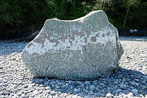 Haleets petroglyph rock.JPG