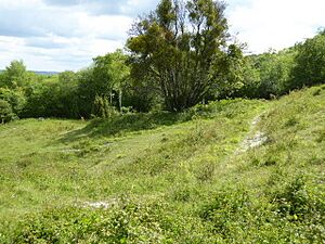 Heyshott Down (3)