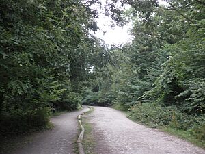 Highest point on Worlebury Hill (geograph 4100778)