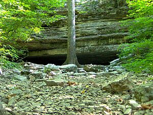 Jackson-cave-col-tn1