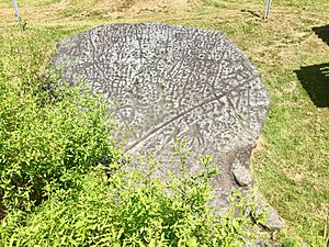 Judaculla Rock, Caney Fork, NC Aug 2019